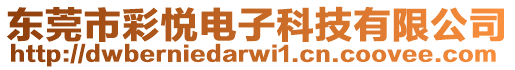 東莞市彩悅電子科技有限公司