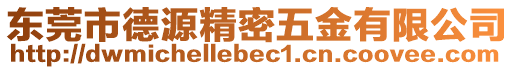 東莞市德源精密五金有限公司