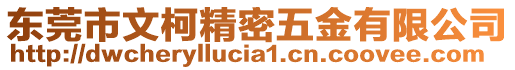 東莞市文柯精密五金有限公司