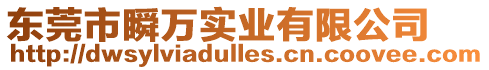 東莞市瞬萬實業有限公司