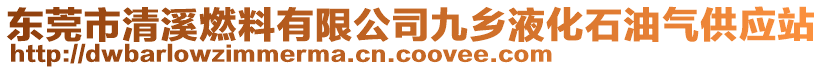 東莞市清溪燃料有限公司九鄉液化石油氣供應站