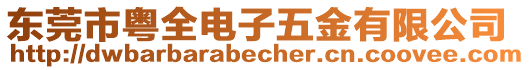 東莞市粵全電子五金有限公司