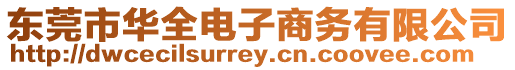 東莞市華全電子商務有限公司