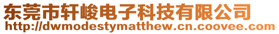 東莞市軒峻電子科技有限公司