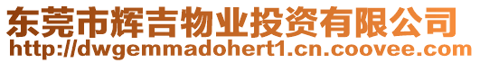 東莞市輝吉物業(yè)投資有限公司