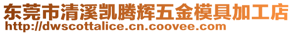 東莞市清溪凱騰輝五金模具加工店