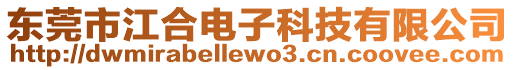 東莞市江合電子科技有限公司