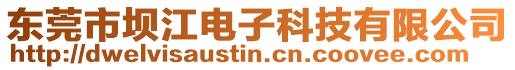 東莞市壩江電子科技有限公司