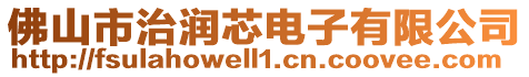 佛山市治潤芯電子有限公司