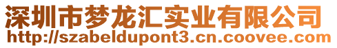 深圳市夢龍匯實業有限公司