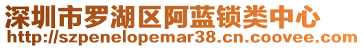 深圳市羅湖區阿藍鎖類中心