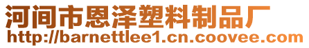 河間市恩澤塑料制品廠