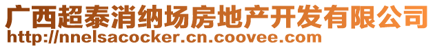 廣西超泰消納場房地產(chǎn)開發(fā)有限公司