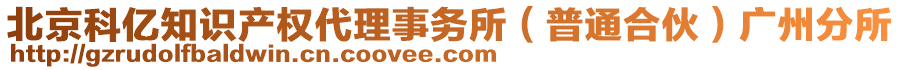 北京科億知識產權代理事務所(普通合伙)廣州分所