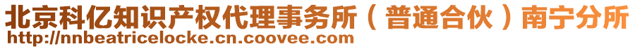 北京科億知識產權代理事務所(普通合伙)南寧分所