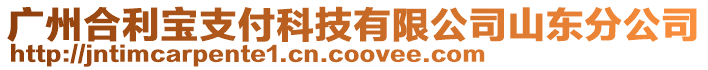 廣州合利寶支付科技有限公司山東分公司