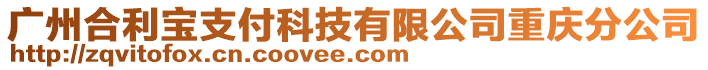 廣州合利寶支付科技有限公司重慶分公司