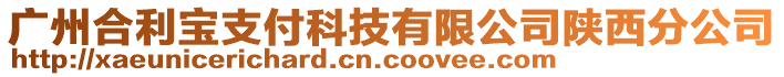 廣州合利寶支付科技有限公司陜西分公司