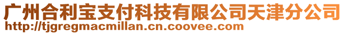 廣州合利寶支付科技有限公司天津分公司