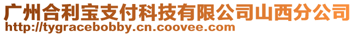 廣州合利寶支付科技有限公司山西分公司