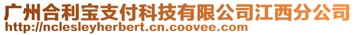 廣州合利寶支付科技有限公司江西分公司