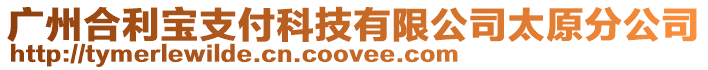 廣州合利寶支付科技有限公司太原分公司