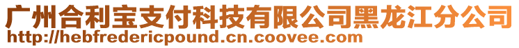 廣州合利寶支付科技有限公司黑龍江分公司