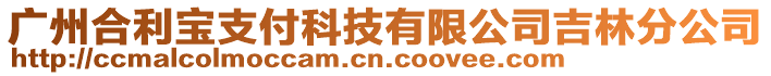 廣州合利寶支付科技有限公司吉林分公司