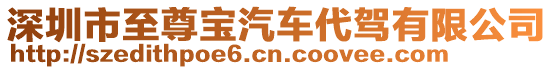 深圳市至尊寶汽車代駕有限公司