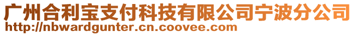 廣州合利寶支付科技有限公司寧波分公司