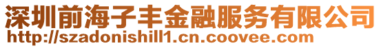 深圳前海子豐金融服務(wù)有限公司