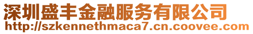 深圳盛豐金融服務有限公司