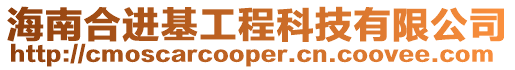 海南合進(jìn)基工程科技有限公司