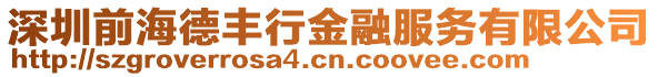 深圳前海德豐行金融服務有限公司