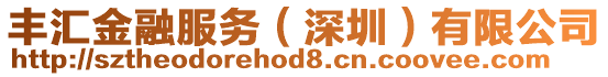 豐匯金融服務(深圳)有限公司