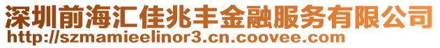 深圳前海匯佳兆豐金融服務(wù)有限公司