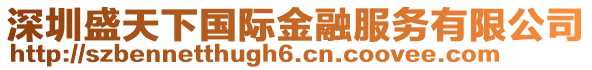深圳盛天下國際金融服務(wù)有限公司