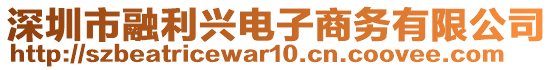 深圳市融利興電子商務(wù)有限公司