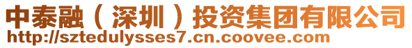 中泰融(深圳)投資集團有限公司