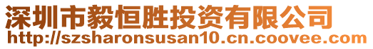 深圳市毅恒勝投資有限公司