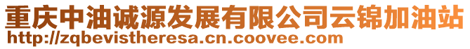 重慶中油誠(chéng)源發(fā)展有限公司云錦加油站