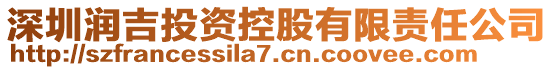 深圳潤吉投資控股有限責任公司