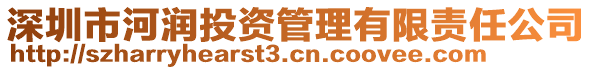 深圳市河潤投資管理有限責任公司