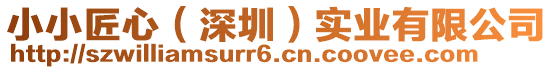 小小匠心(深圳)實業有限公司