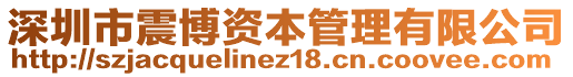 深圳市震博資本管理有限公司
