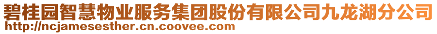 碧桂園智慧物業(yè)服務(wù)集團(tuán)股份有限公司九龍湖分公司