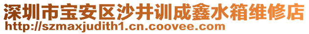 深圳市寶安區(qū)沙井訓(xùn)成鑫水箱維修店