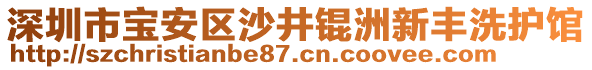 深圳市寶安區(qū)沙井錕洲新豐洗護(hù)館