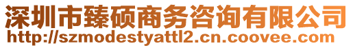 深圳市臻碩商務(wù)咨詢有限公司