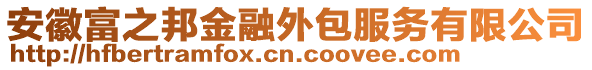 安徽富之邦金融外包服務(wù)有限公司